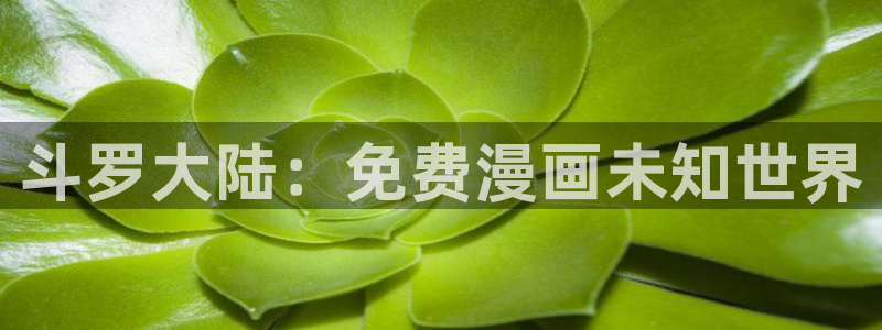 极速漫画免费